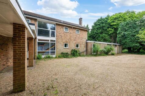 SILVER TREES- (24).jpg