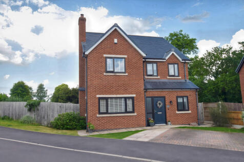 Front Aspect 2