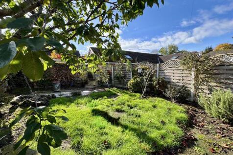 Side Garden