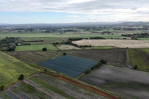 Aerial Image