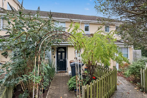 IMG_9353.jpeg