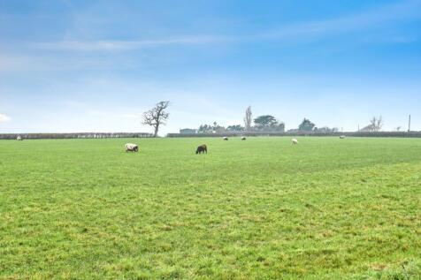 Countryside Views