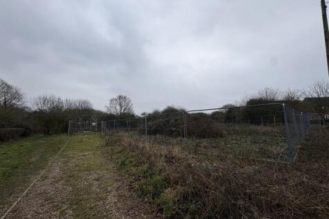 5 Medium T202602021050.jpg