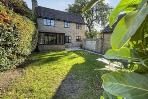 tlc_2f8756d8-fdfc-4b41-9771-9f4b4cdd9160_35acc4a.j