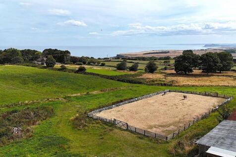 side view paddock better shot.jpg