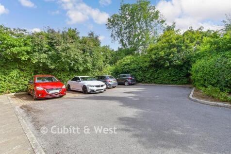 Driveway/Parking.
