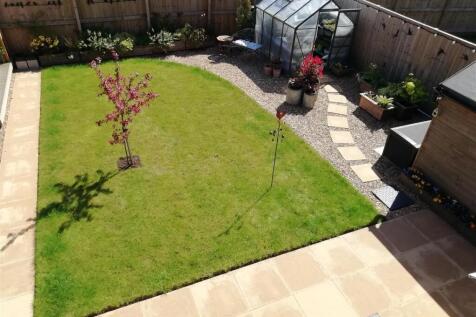 New garden Orpington.jpg