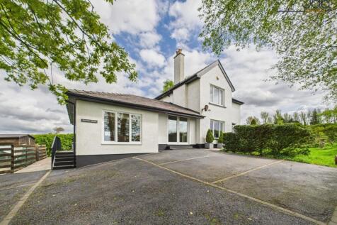 Welcome to Brindle Brow