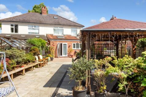 IMG_4153