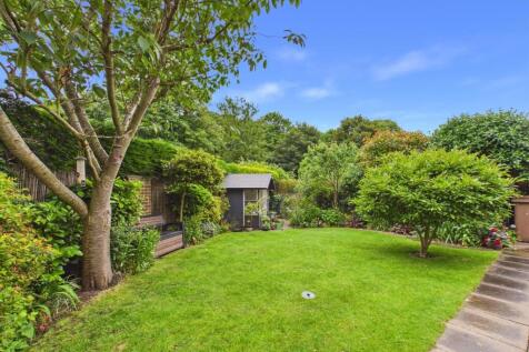 garden 2.jpg