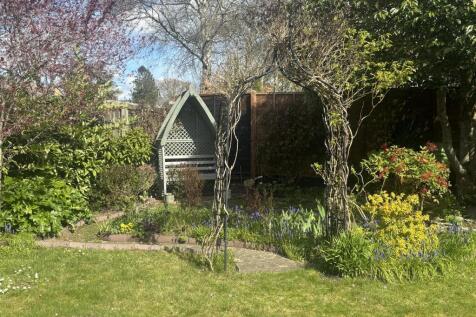 IMG_3647.jpeg