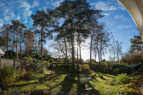 Garden From Ground Floor