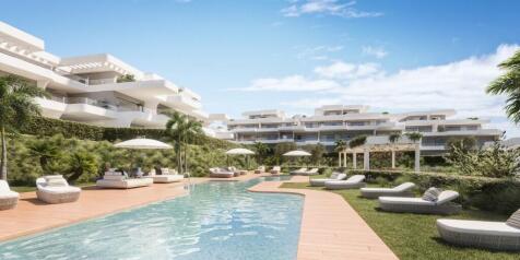 Garden and Pool