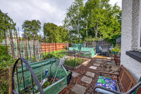Garden (3)