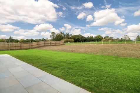 1440px-Elm Tree V...