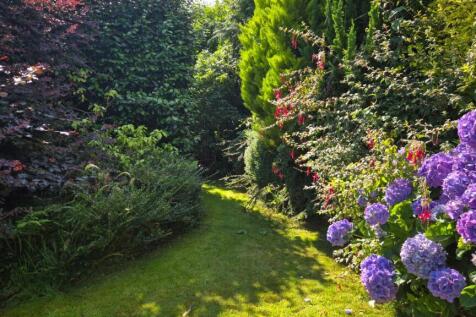 garden 2.jpeg