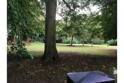 The Park