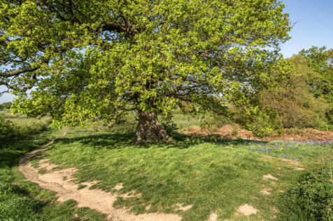Greenspace Nearby