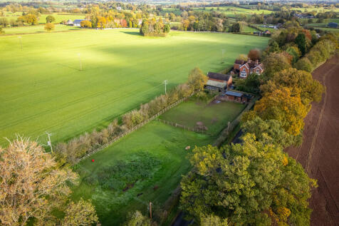 Paddocks and Surr...