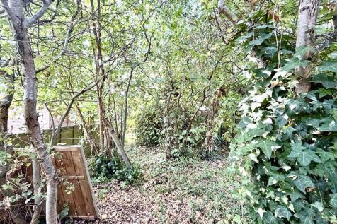 Woodland Garden