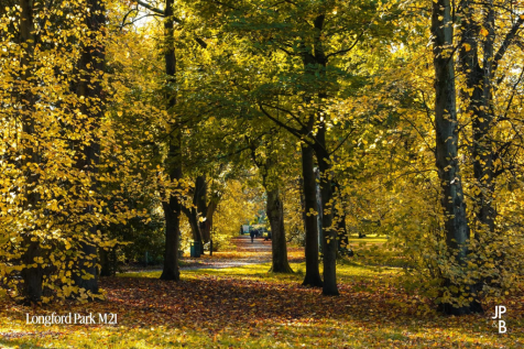 Longford Park 2.png