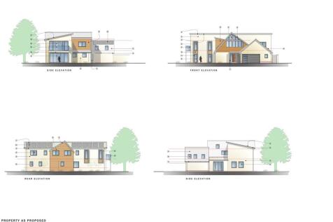 The Meadows image.jpg