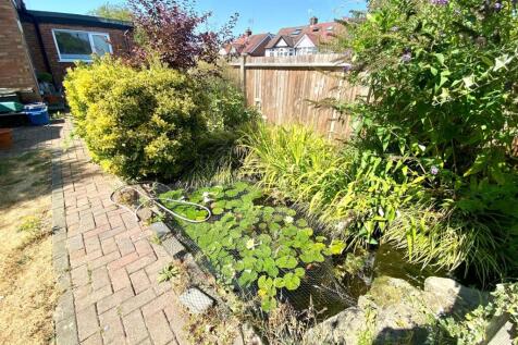 New pond 51.jpg
