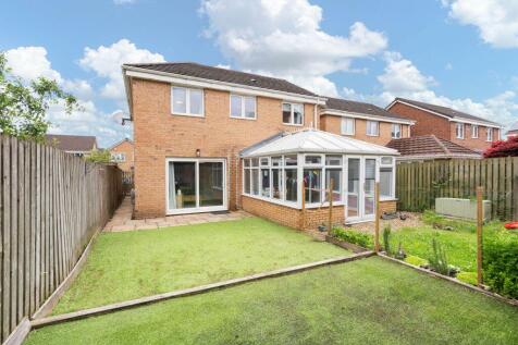 Property Image 25