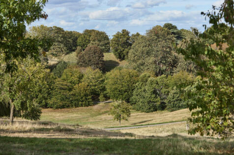 312360 - AJ8A7745.jpg