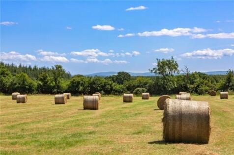 Farm At Newtown