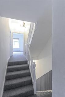 Comet Street 33-11.jpg