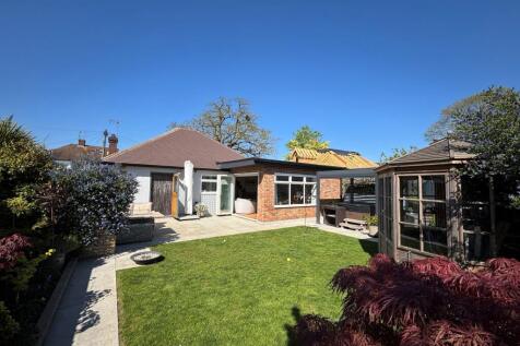 New Rear