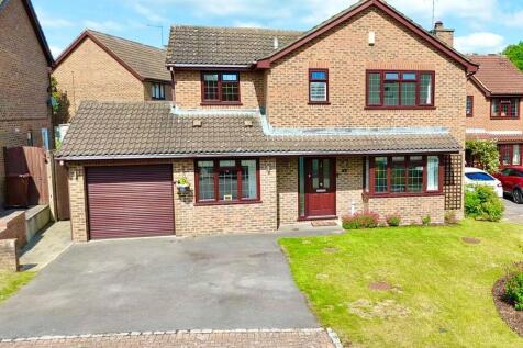 IMG-20250611-WA00...