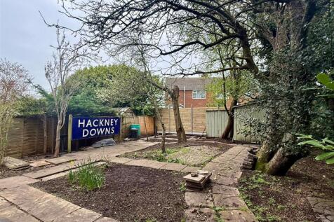 Back garden 3.jpg