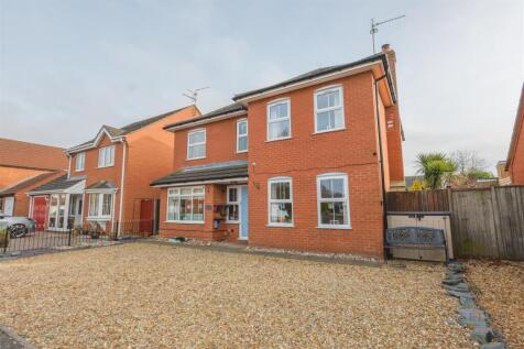 2 heron close-27.jpg