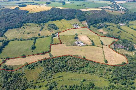 St-Martins-Farm-1.jpg