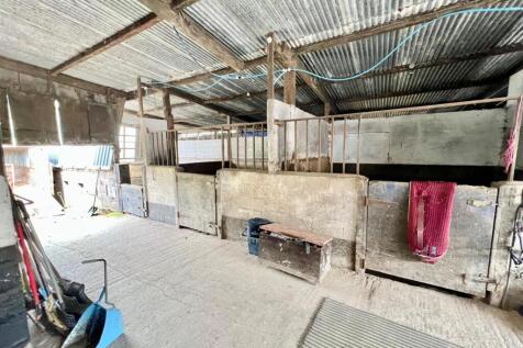 PHOTO-2024-07-16-21-38-37 (7).jpg