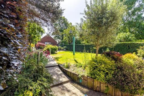 Back Garden