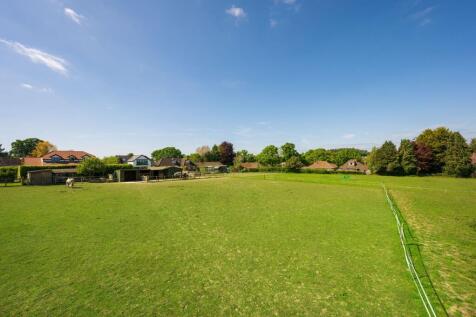 The paddocks