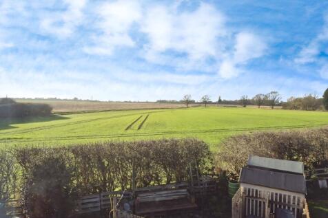 Field View
