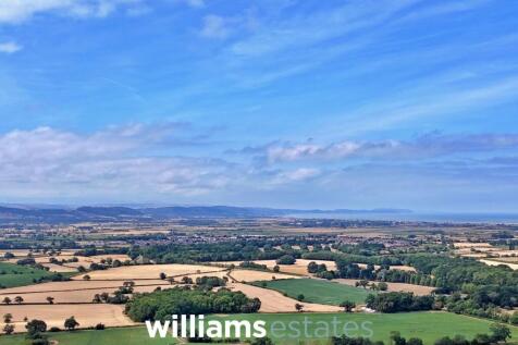 Panoramic Views