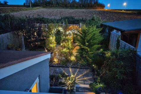 Garden at night
