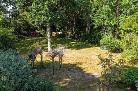 Silver Birches Drone-5.jpg