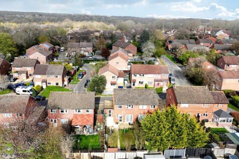 Drone Imagery