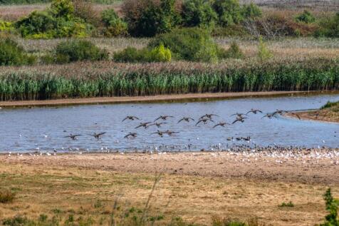 Nature Reserve