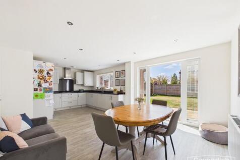 Kitchen / Living Area