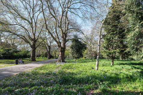 southwark-park-road-fuji-128-1_55198228621_o.jpg
