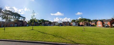 Communal Green Space