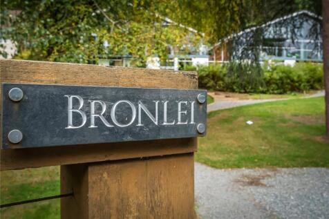 Bronlei