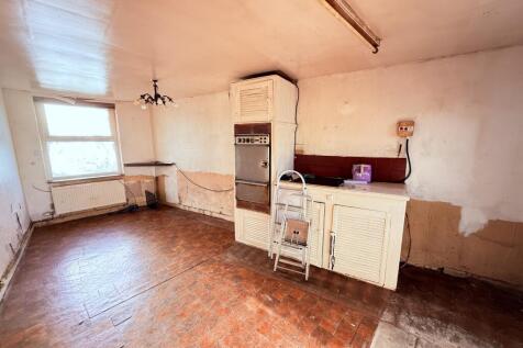 IMG 1781 T202511071021.jpg